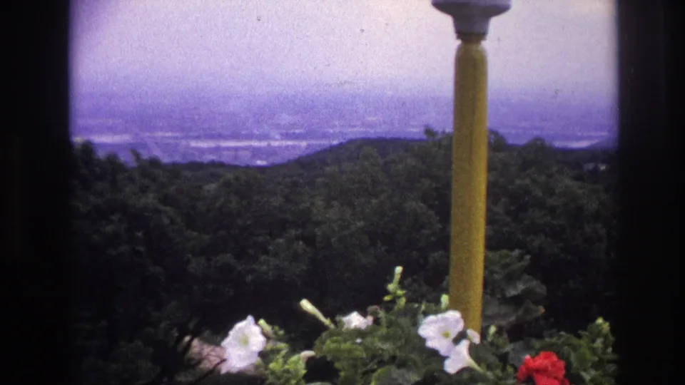 1967 France 8mm frame showing a yellow post beside petunias, with wooded hills and haze beyond.