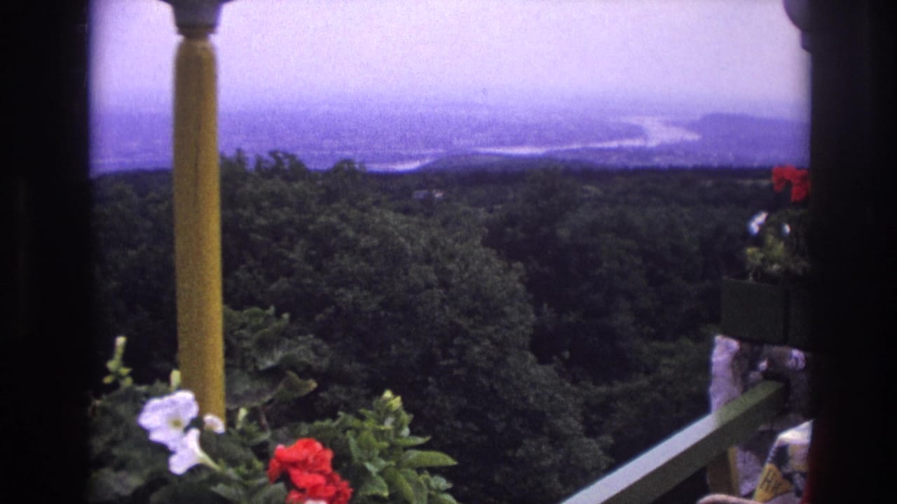 Balcony railing, flowers, and column above dense trees with water in the distance.