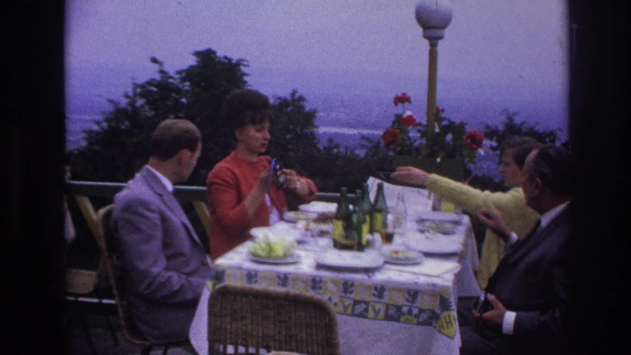 Adults seated at a terrace table as a woman gestures during lunch.