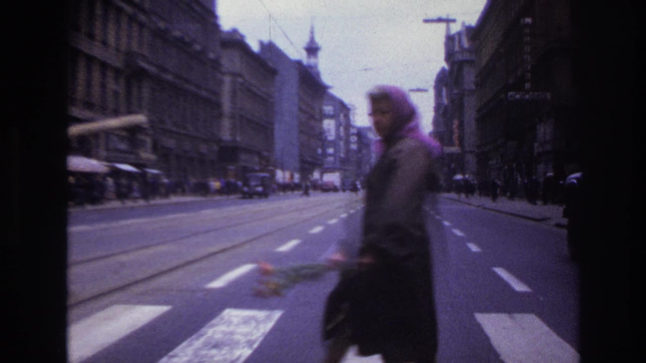 Woman in a headscarf carrying flowers crosses a broad street with tram tracks.