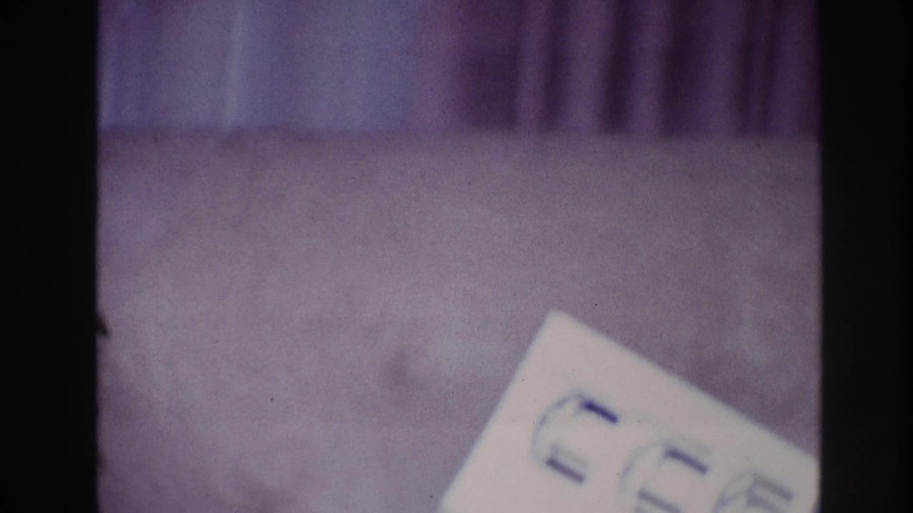 White paper with blue markings rests near the edge of a purple carpeted scene.