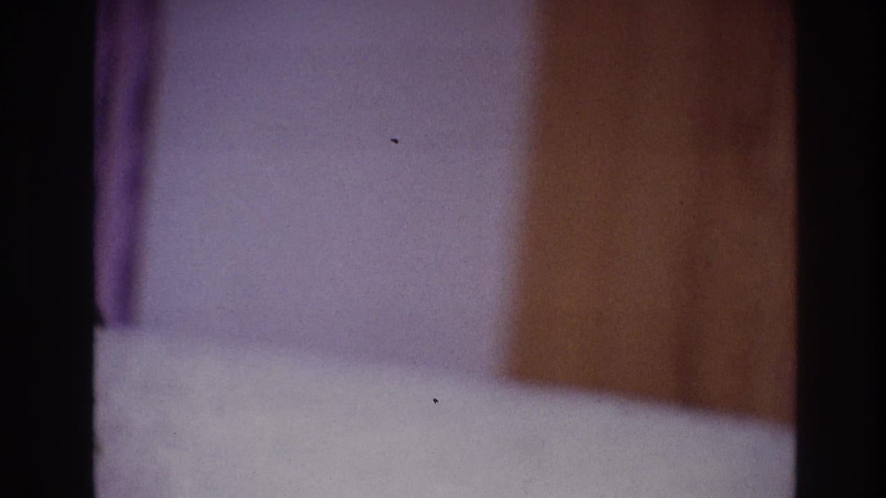 Soft 8mm frame from the Ottawa 1967 clip showing an indoor wall and curtain area before the woman enters clear view.