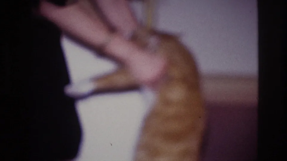 1967 Ottawa home-movie frame showing a woman’s hands gently holding a ginger tabby cat upright inside a private room.