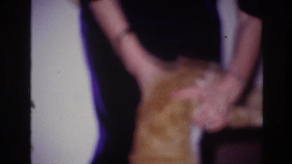 Ottawa 1967 8mm frame showing the woman in a dark purple dress holding the ginger cat upright during the playful indoor moment.