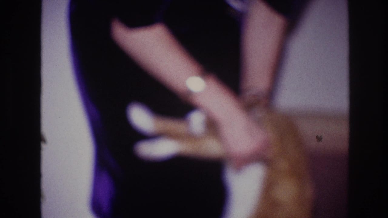 In a 1967 Ottawa home-movie frame, a woman in a dark dress appears to support an orange cat on its hind legs indoors.