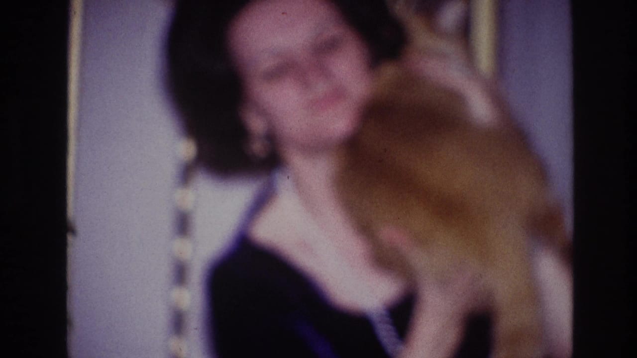 In the final frame, the woman holds the orange cat against her body inside a softly lit domestic interior.