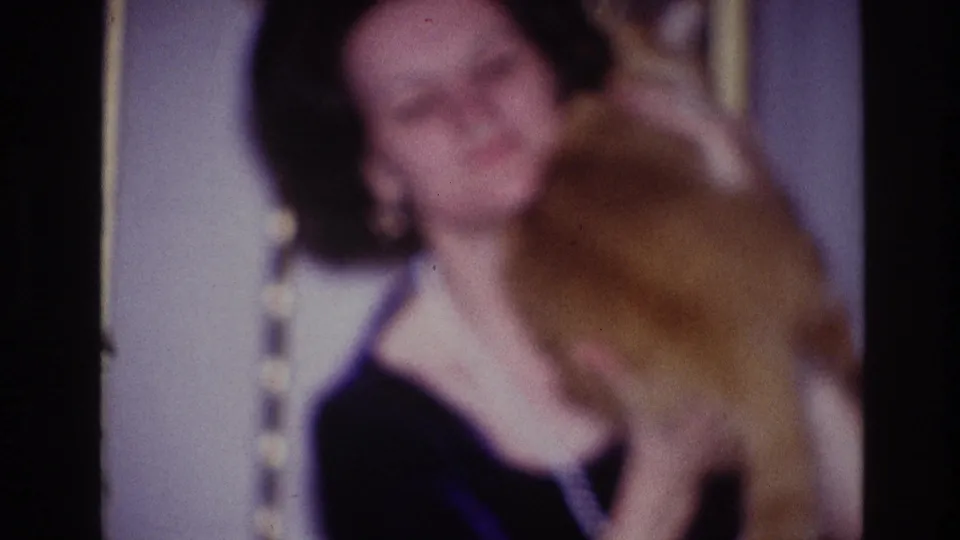In the final frame, the woman holds the orange cat against her body inside a softly lit domestic interior.