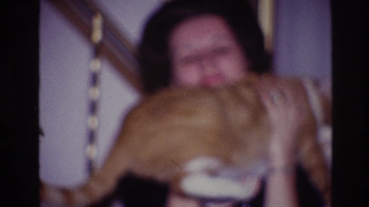 Soft 1967 Ottawa 8mm frame of a woman holding a ginger-and-white cat in a private interior.