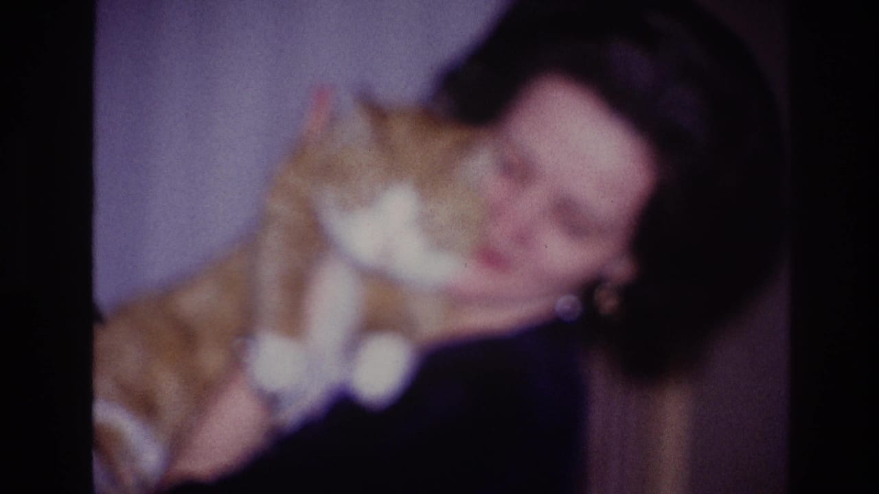 The woman nuzzles the ginger-and-white cat in a soft-focus 1967 Ottawa domestic home-movie frame.