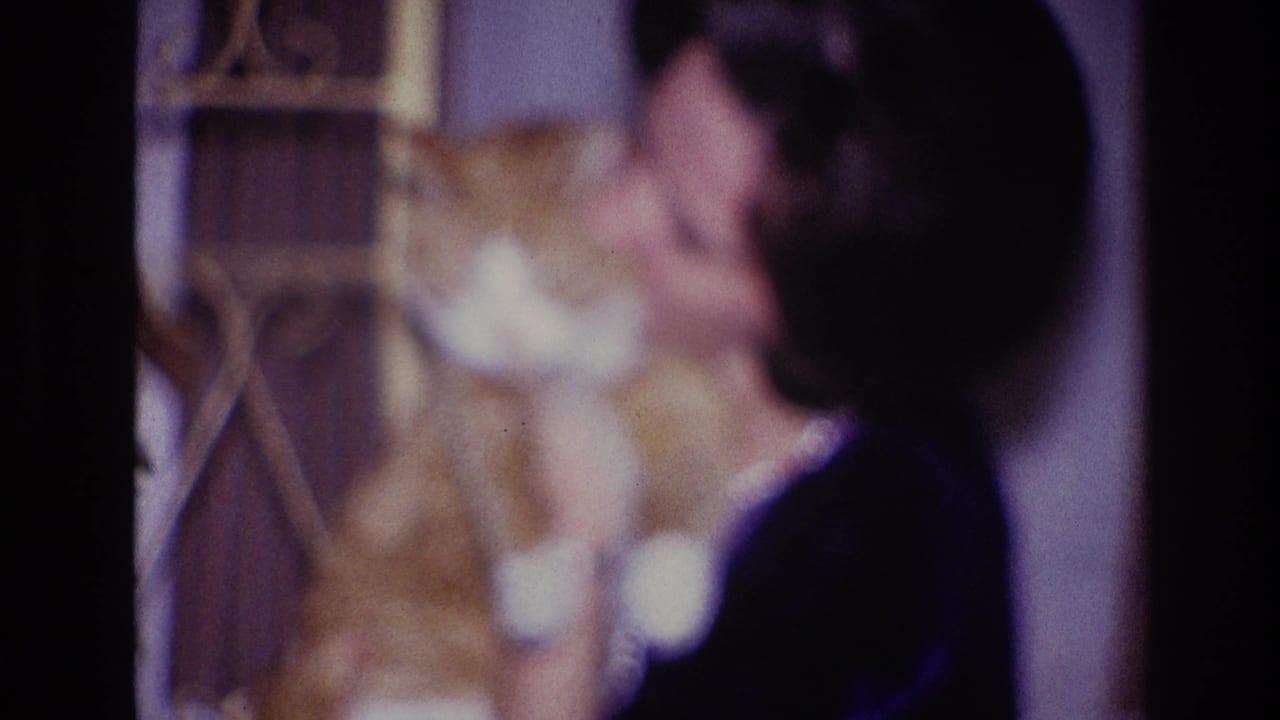 Woman turns toward an orange and white cat beside a decorative interior screen.