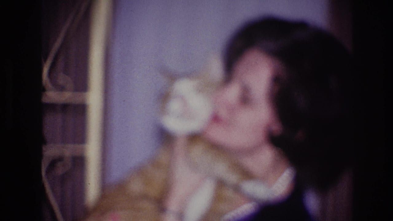 The woman remains close to the orange and white cat in a softly focused 1967 Ottawa domestic home-movie frame.