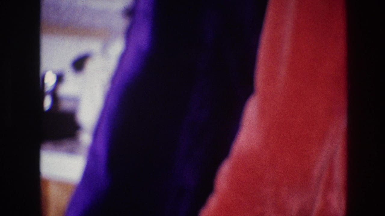 Soft 1967 Ottawa 8mm frame showing dark blue clothing and red outerwear in a close indoor view.