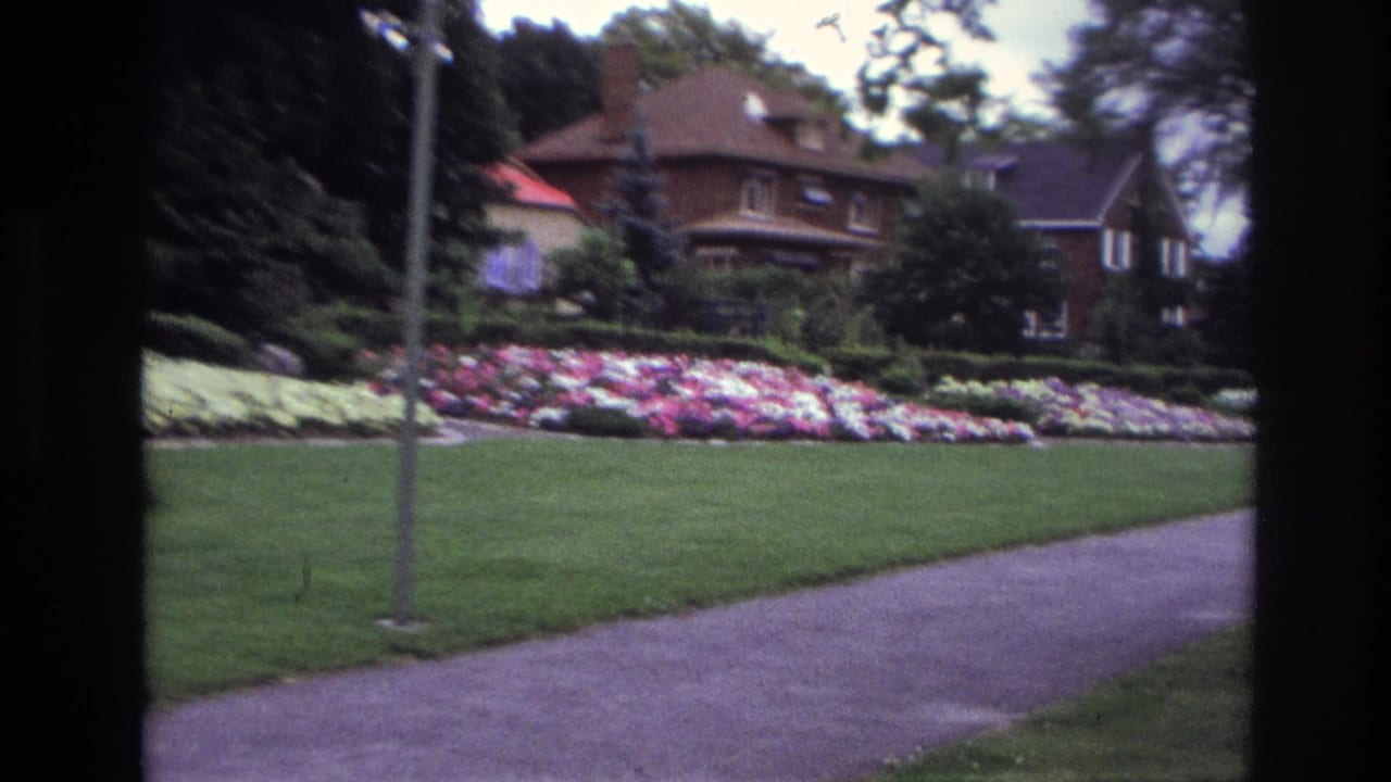 Garden bed with pink and white flowers beside a lawn, path, lamppost, trees, and house.