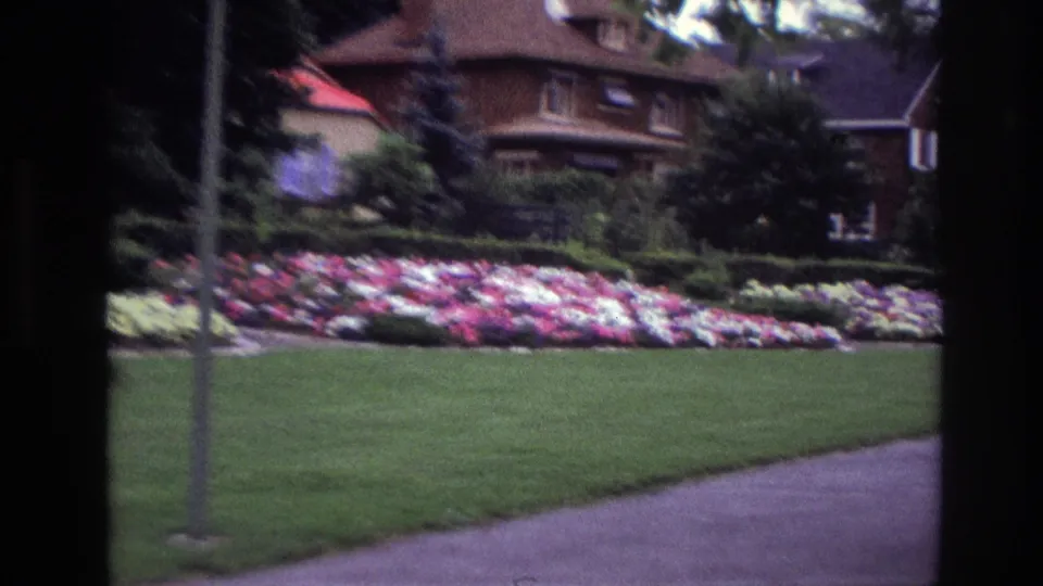 Closer 1967 Ottawa home-movie view of a colorful residential flower bed with lawn, path, lamppost, shrubs, trees, and house beyond.