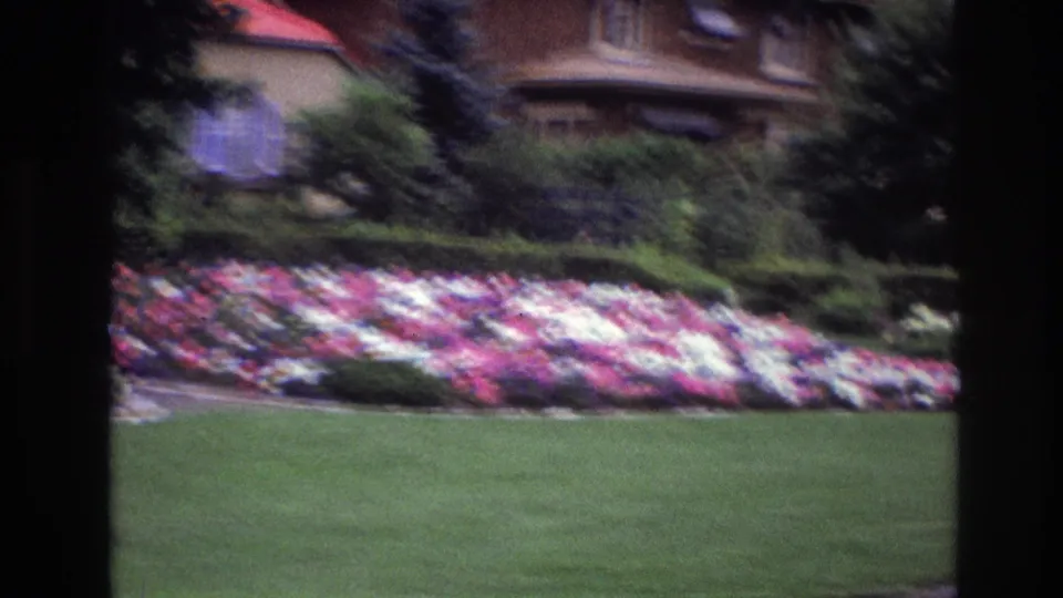 Soft 1967 Ottawa home-movie frame looking across a lawn to a bright flower bed, shrubs, trees, and a brick residential exterior.