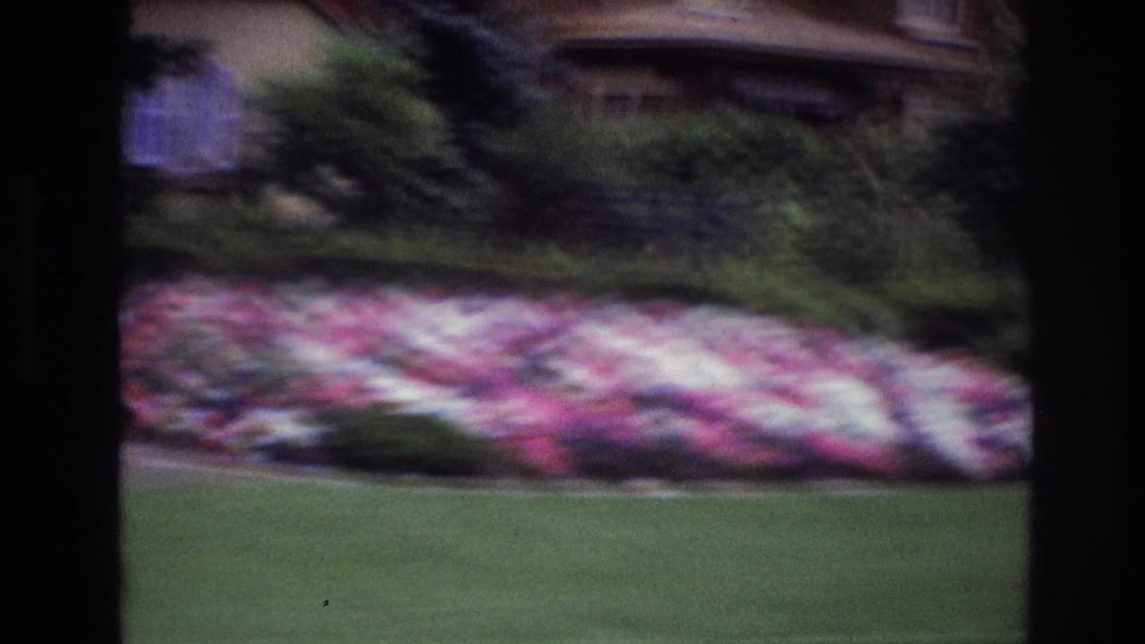 1967 Ottawa home-movie frame showing a green lawn, colorful flower bed, shrubs, and a partly visible house beyond dark window or door framing.
