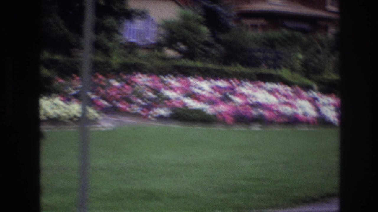 Flower bed, lawn, shrubs, and a slender pole with a house partly visible behind trees.