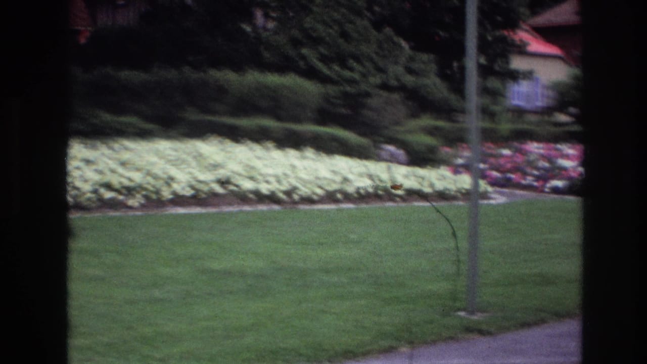 1967 Ottawa home-movie view of trimmed grass, white and purple flowers, hedges, and a background residence through a window frame.