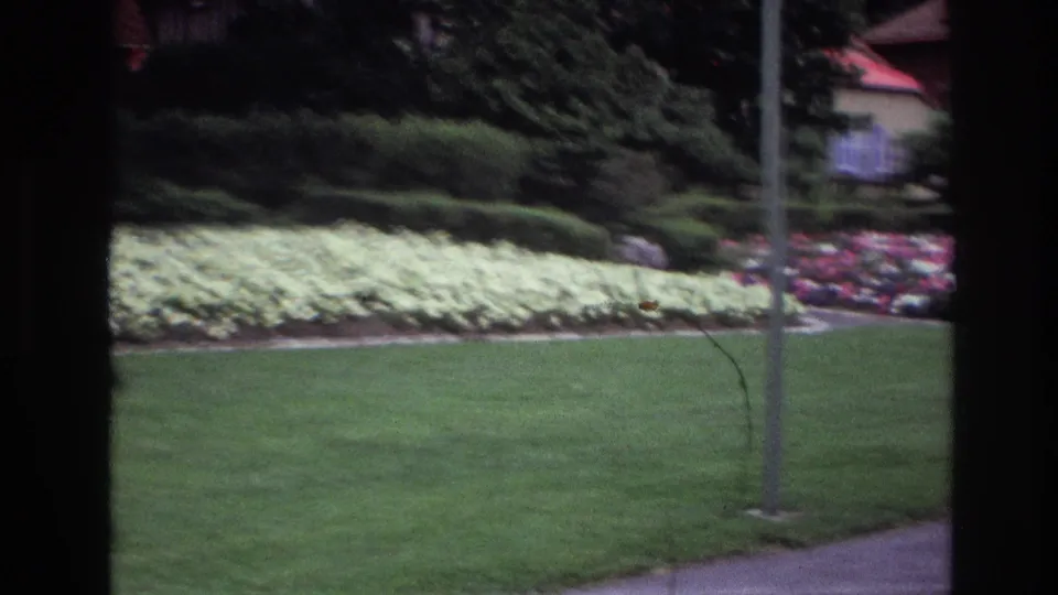 1967 Ottawa home-movie view of trimmed grass, white and purple flowers, hedges, and a background residence through a window frame.