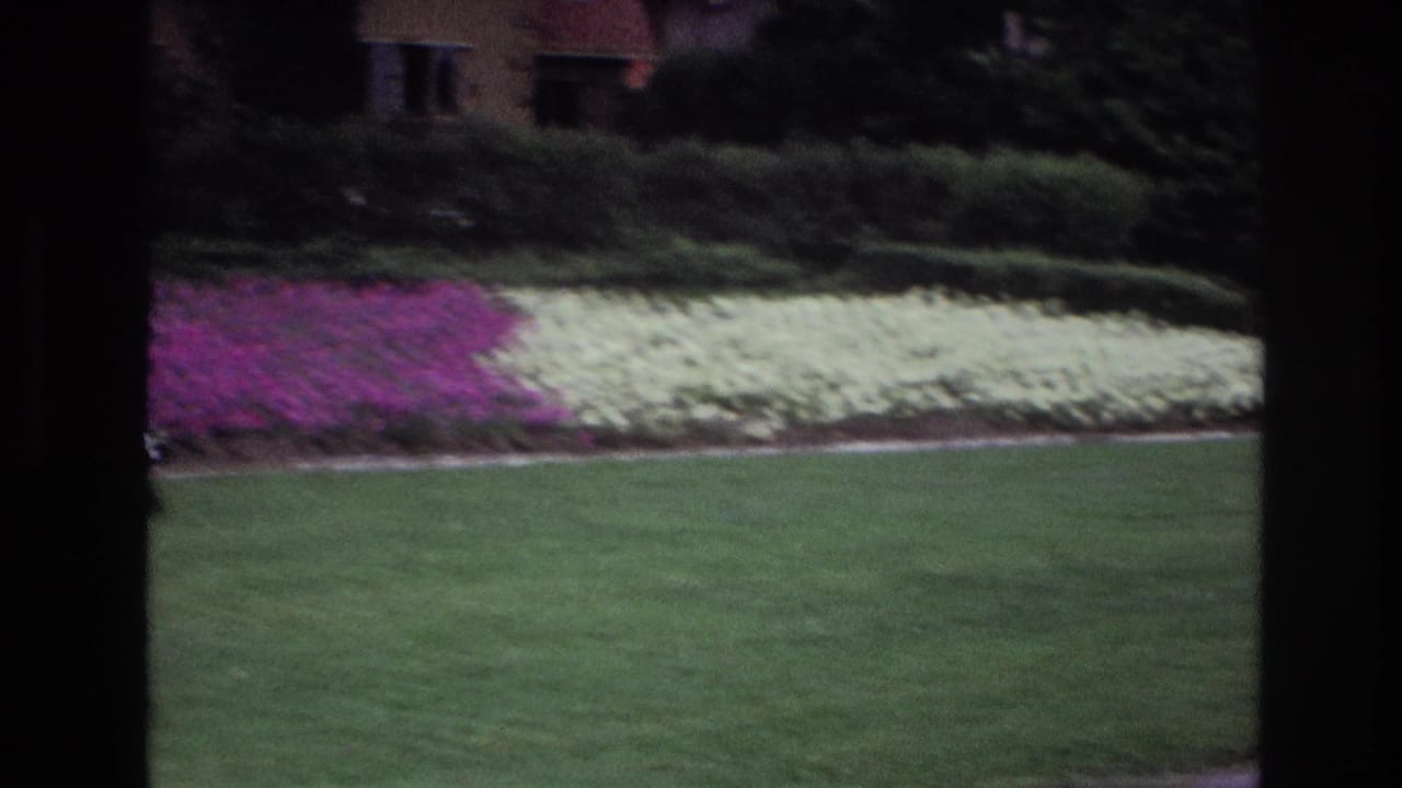 Green lawn bordered by white and purple flowerbeds near hedges.