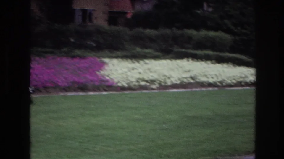 1967 Ottawa garden view with a broad lawn, bands of white and purple flowers, low hedges, and a partially visible residence behind.