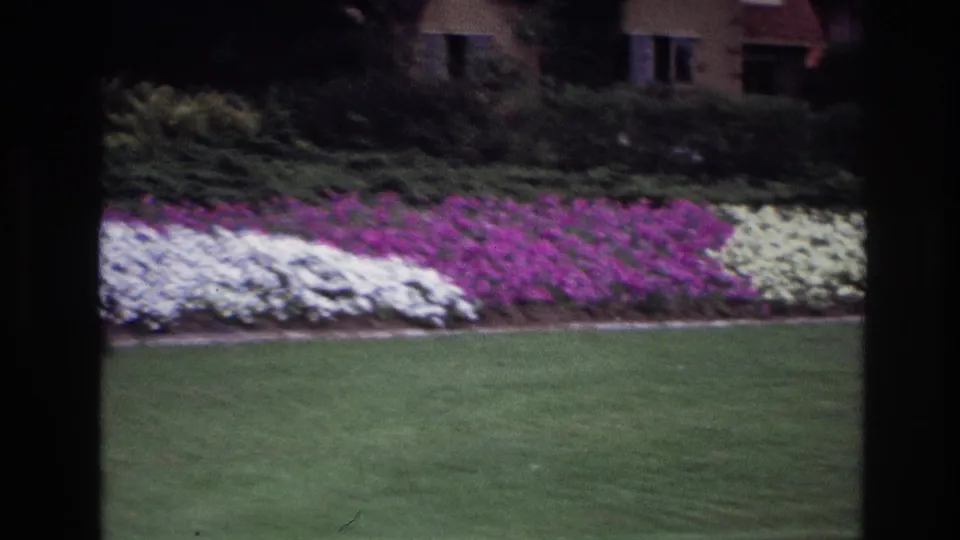 1967 Ottawa 8mm frame showing bright flowerbeds, trimmed grass, hedges, and a background building, partly divided by dark window framing.