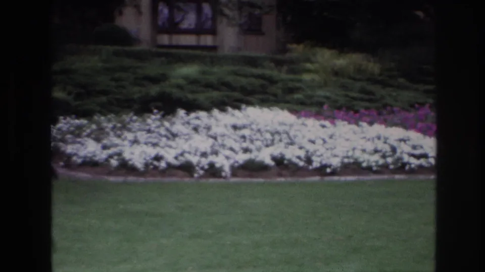 1967 Ottawa home-movie frame showing a lawn, white flowers, hedges, and a partial house exterior seen through dark vertical framing.