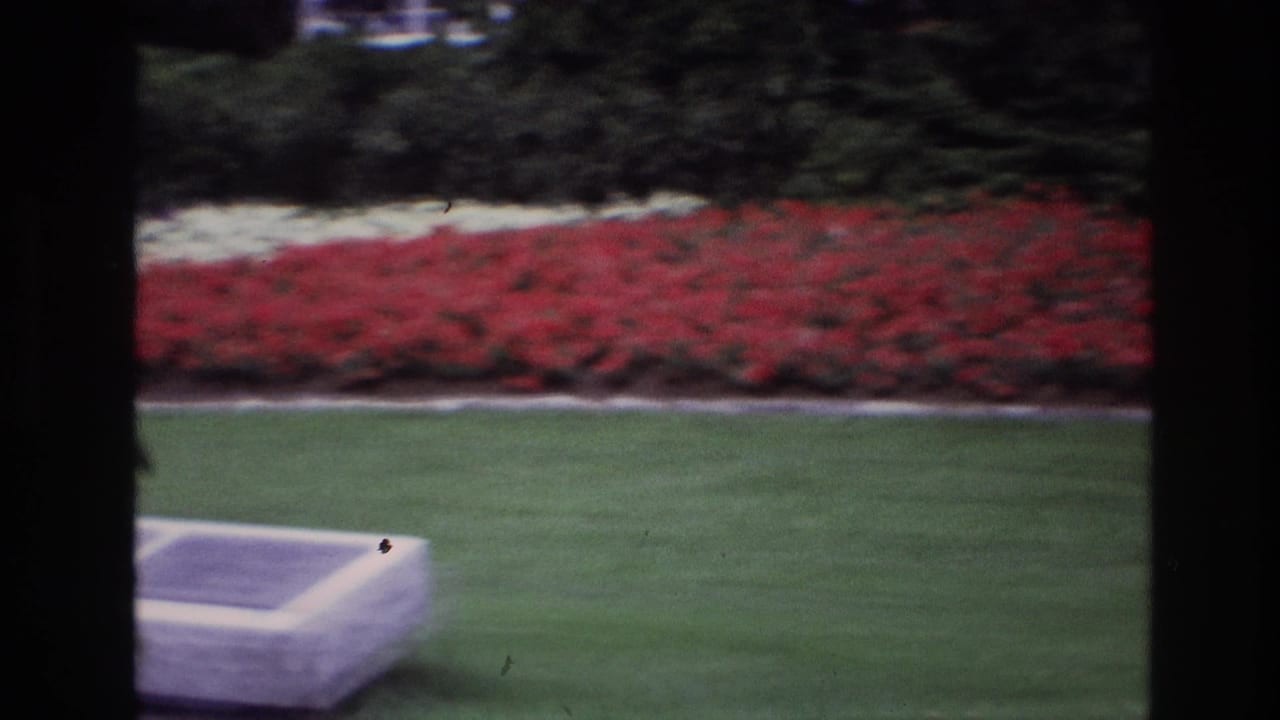 1967 Ottawa home-movie frame showing a red floral border, manicured lawn, and part of a low stone plaque in the foreground.