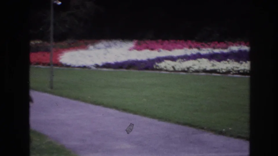 1967 Ottawa frame showing a paved walkway, trimmed grass, and long bands of red, white, and purple flowers beyond the lawn.