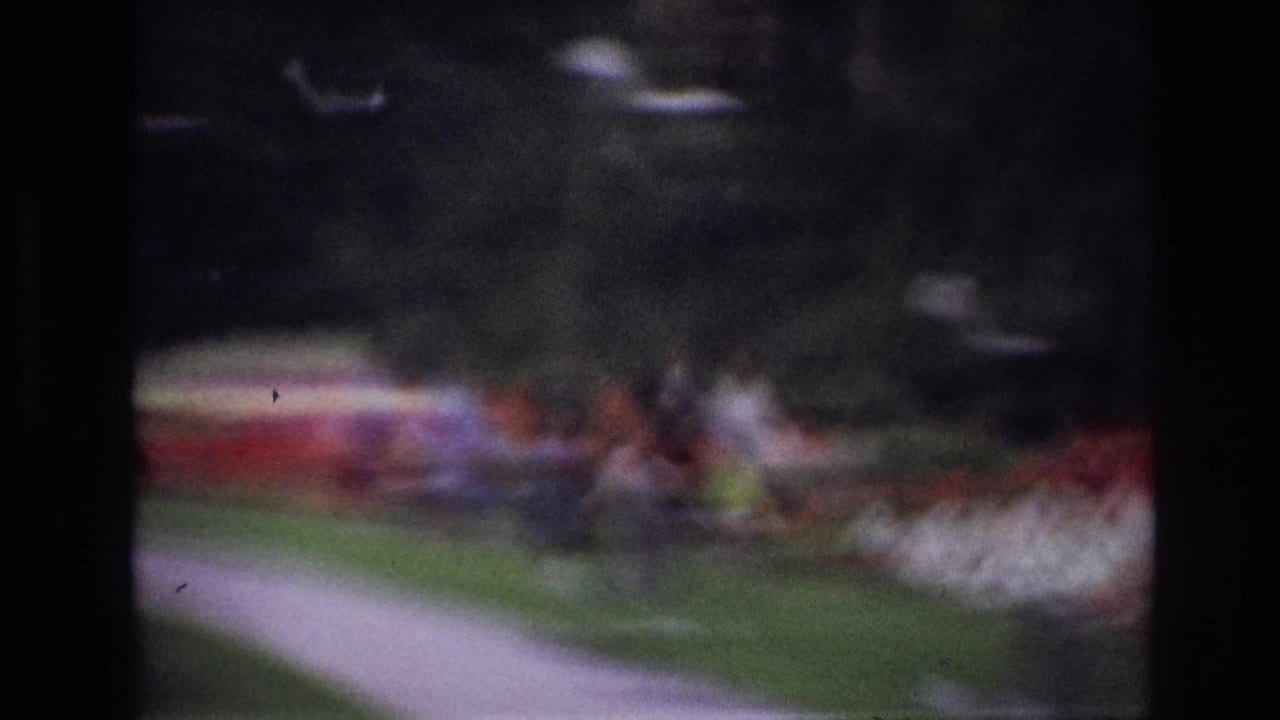 Very blurry outdoor scene with a path, lawn, flower beds, and indistinct people.