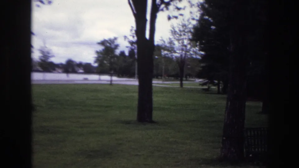 Wide 1967 Ottawa park view showing open grass, tall trees, benches, an overcast sky, and a pale fence or waterline in the distance.