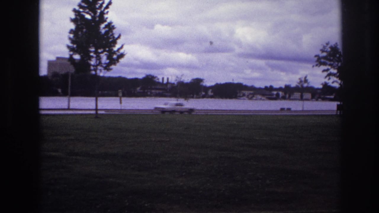 Grassy park foreground with a young tree, road, water, distant shoreline, and a blurred white car.