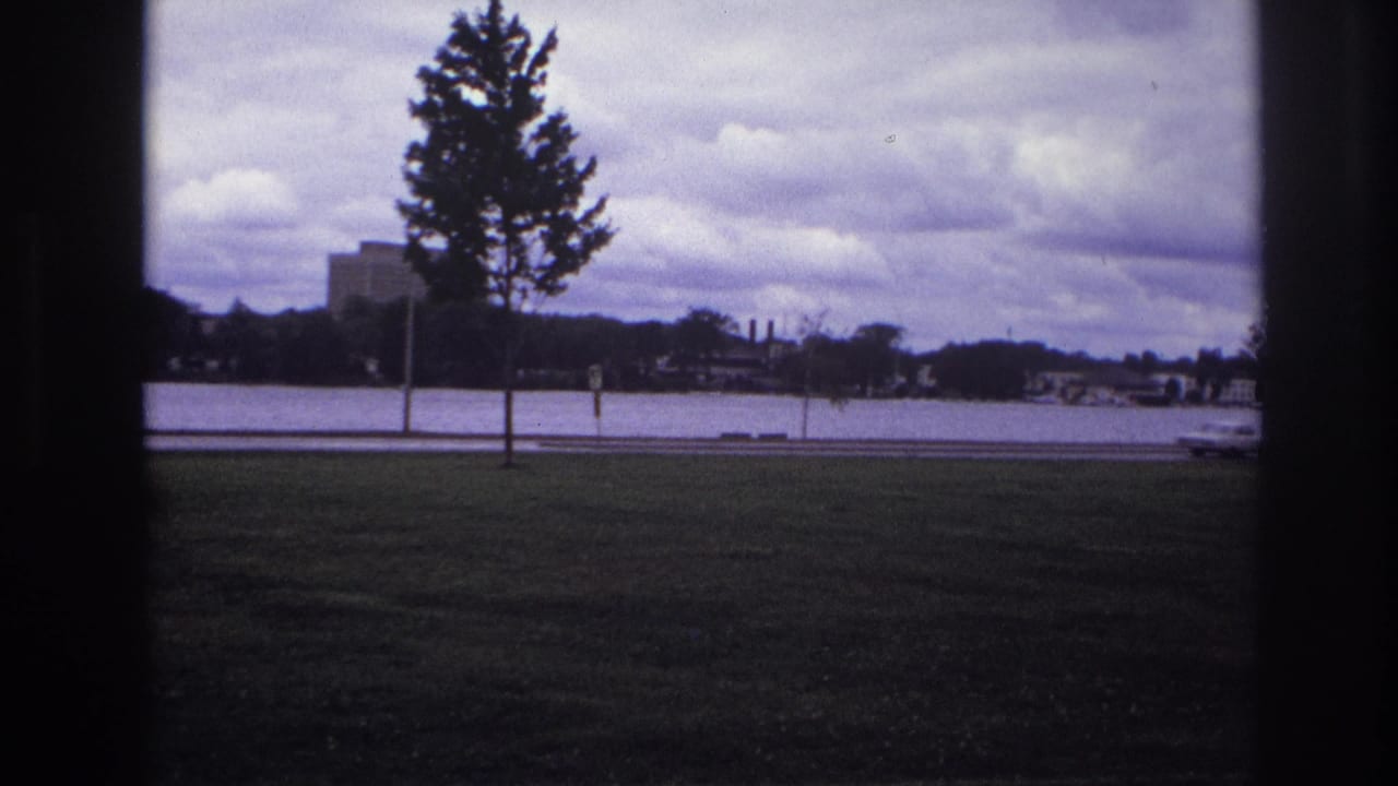 1967 Ottawa waterfront view with grass in front, a roadside tree, distant buildings, and a white car moving out of frame.