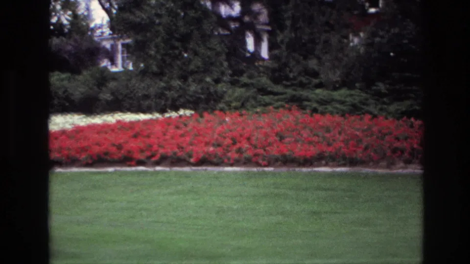 1967 Ottawa garden frame focused on red and white flowerbeds across a clipped lawn, with dark shrubs, trees, and glimpses of a building in back.
