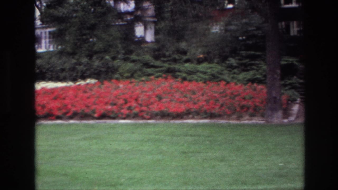 1967 Ottawa 8mm frame showing a landscaped lawn, red flowers, shrubs, and a partially hidden house viewed through dark foreground framing.