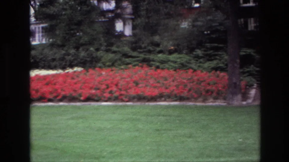 1967 Ottawa 8mm frame showing a landscaped lawn, red flowers, shrubs, and a partially hidden house viewed through dark foreground framing.