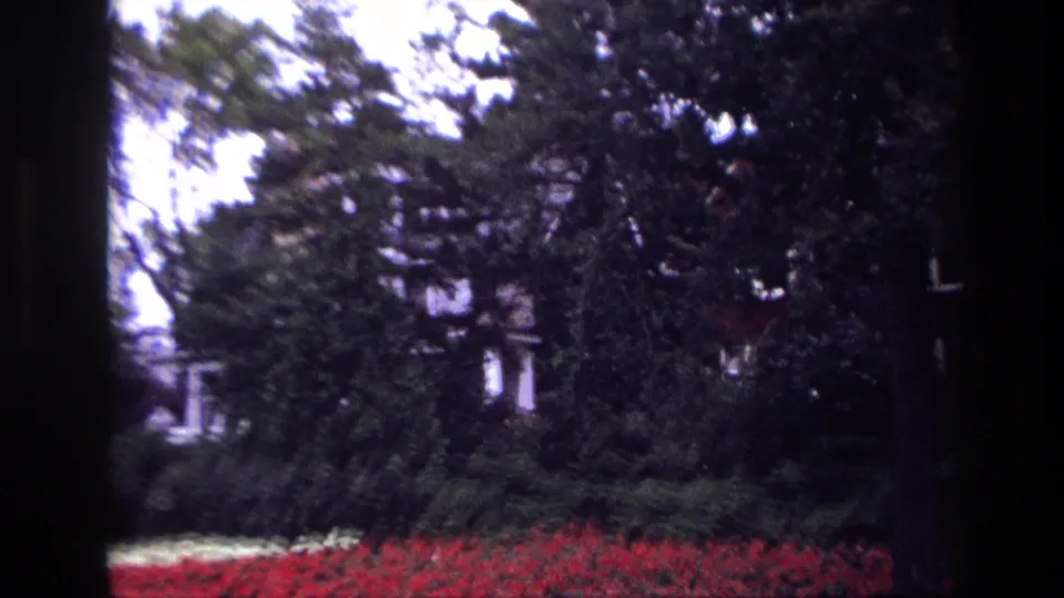 1967 Ottawa 8mm still showing a shaded view across red flowers and shrubbery toward trees and a partially visible residence.