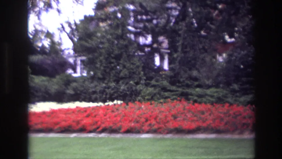 1967 Ottawa home-movie frame with red flowers, green lawn, shrubs, trees, and a partially visible house beyond the garden.
