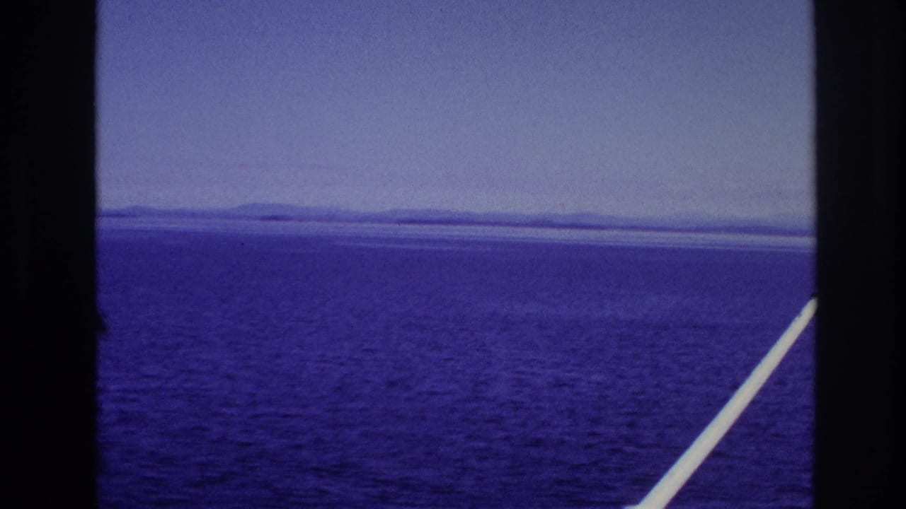 Open water and distant shoreline seen through dark window dividers with a white diagonal railing.
