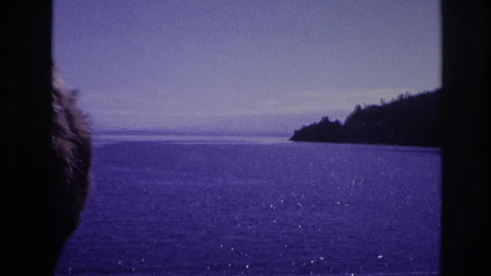 Open water and a distant wooded shoreline appear through dark boat framing, with part of a passenger visible at the lower left.