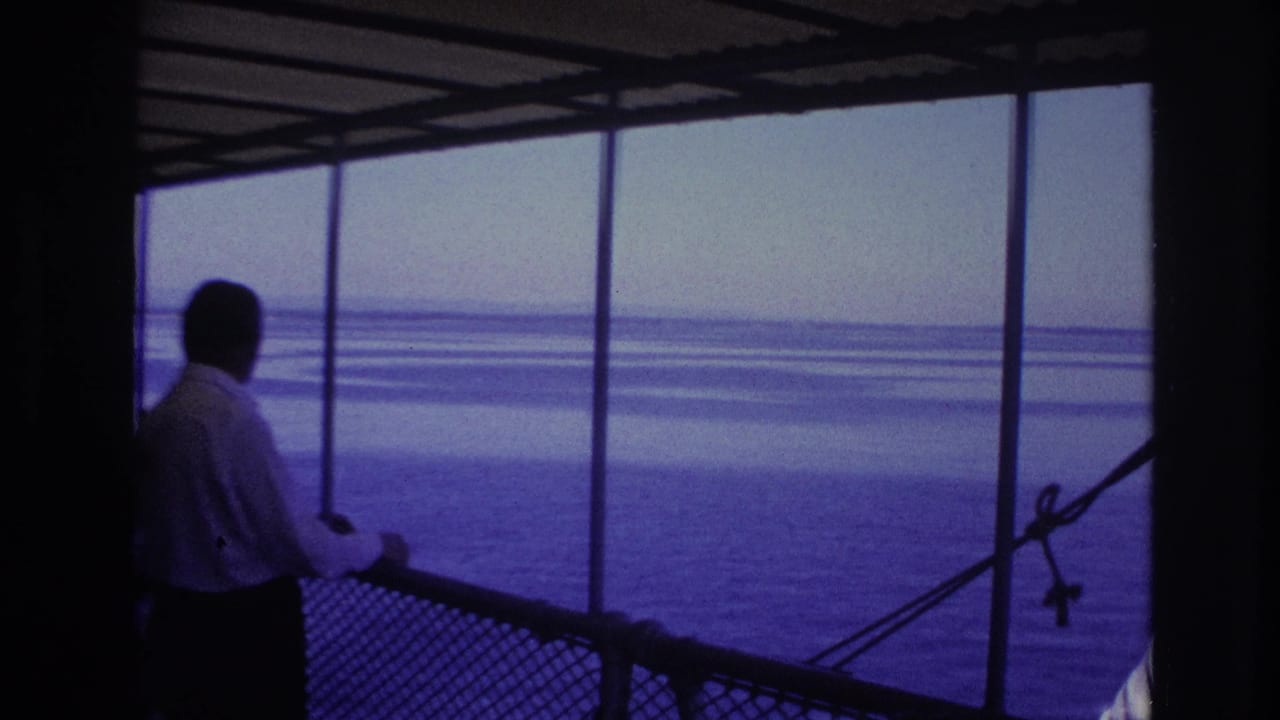 Adult man in a white shirt faces the water from a covered pier or deck, with railings and metal supports framing the view.