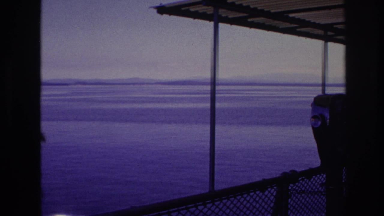 A public viewing telescope stands near the chain-link railing on a covered waterfront walkway, with open water and distant land beyond.