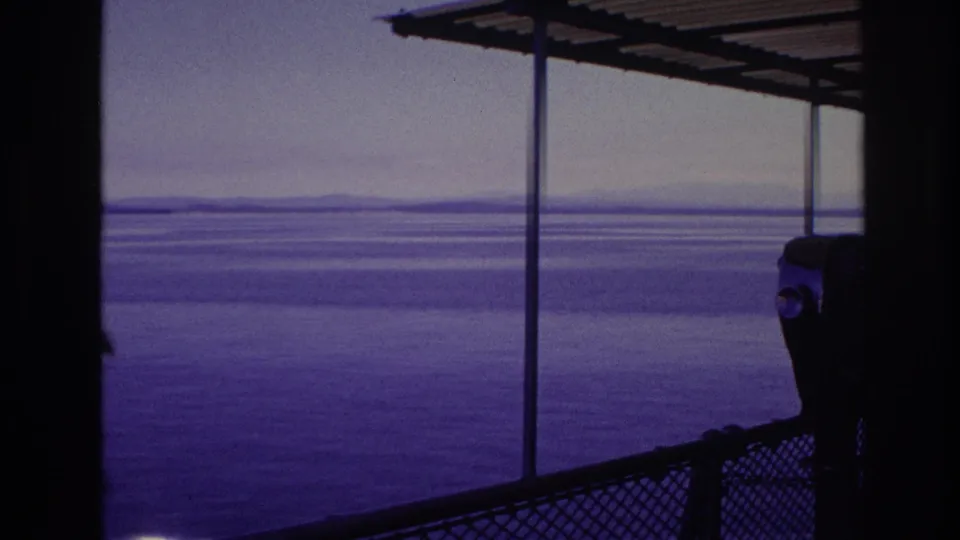 A public viewing telescope stands near the chain-link railing on a covered waterfront walkway, with open water and distant land beyond.