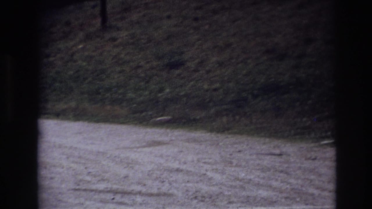 1967 Ottawa home-movie frame showing a gravel path and grassy bank through dark vertical window framing.