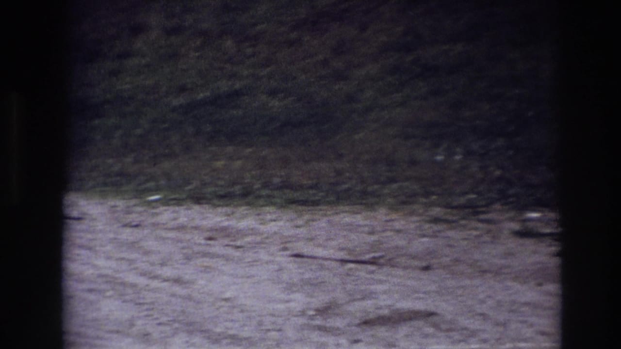 Static 8mm view of a gravel path and grassy slope in Ottawa, with window bars dividing the frame.