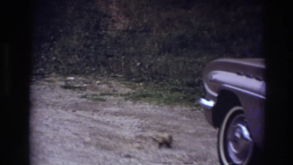 A tan 1960s sedan begins to enter the 1967 Ottawa frame, partly obscured by dark window bars.