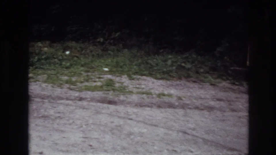 1967 Ottawa home-movie frame showing a wooded gravel area with adults gathered at a picnic table near the right edge.