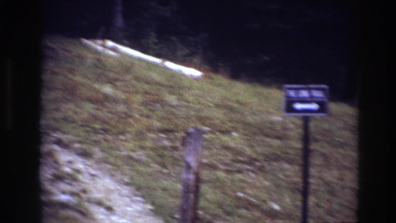 1967 Ottawa 8mm frame showing a grassy wooded slope, dirt trail, rough post, rocks, and an indistinct directional sign.