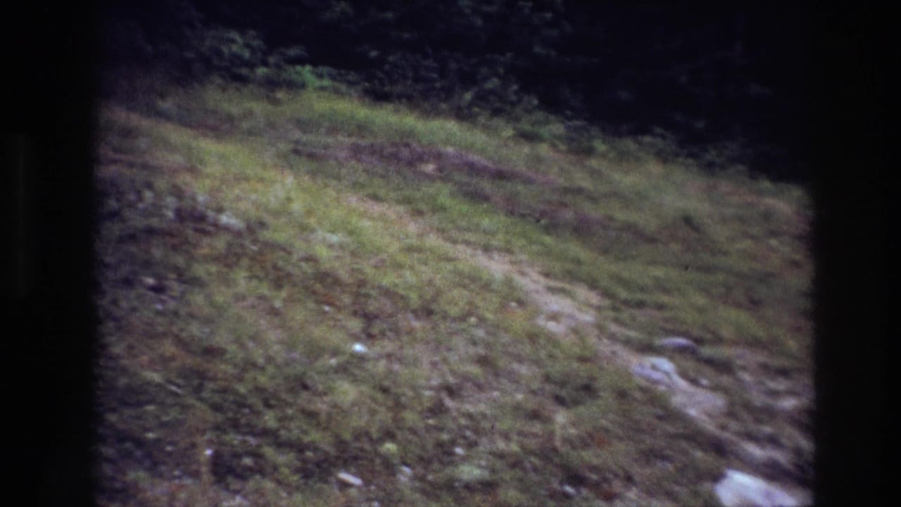 Narrow dirt trail running across a grassy slope toward a dark wooded edge.