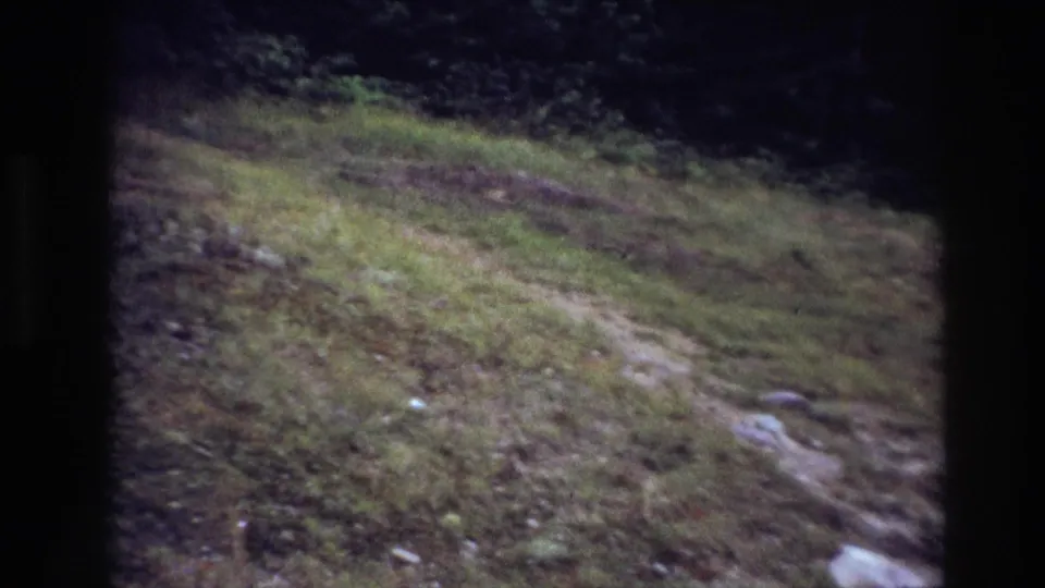 1967 Ottawa 8mm frame with a narrow dirt path crossing a grassy hillside toward dense trees and brush.